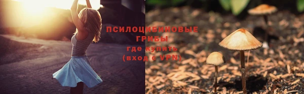 спиды Нязепетровск