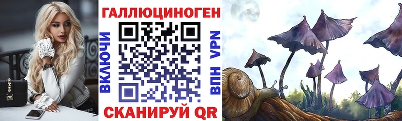 что такое наркотик  Каспийск  Галлюциногенные грибы Cubensis 